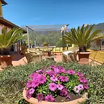 Daniela Villa Camaiore