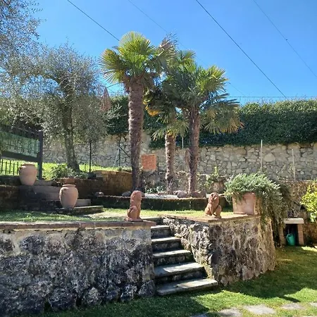 Daniela カマイオーレ