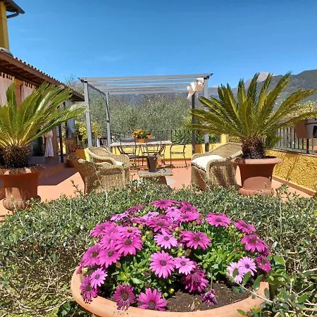 Daniela Villa Camaiore