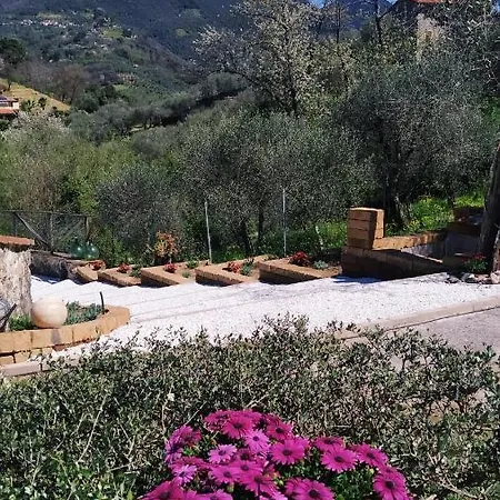 Daniela カマイオーレ