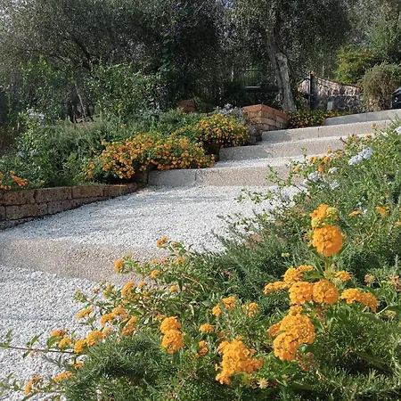 Daniela ヴィラ カマイオーレ