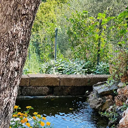 Vila Daniela