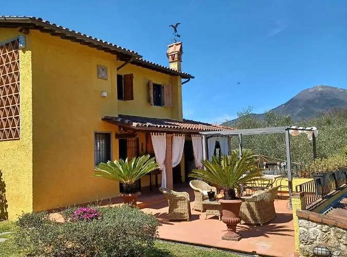 Daniela * Камайоре