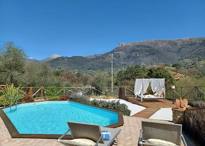 Daniela Камайоре