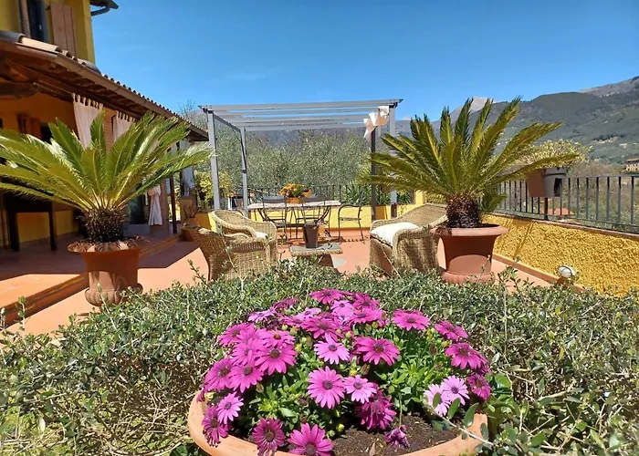 Daniela Вилла Камайоре