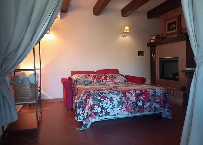 Daniela Камайоре