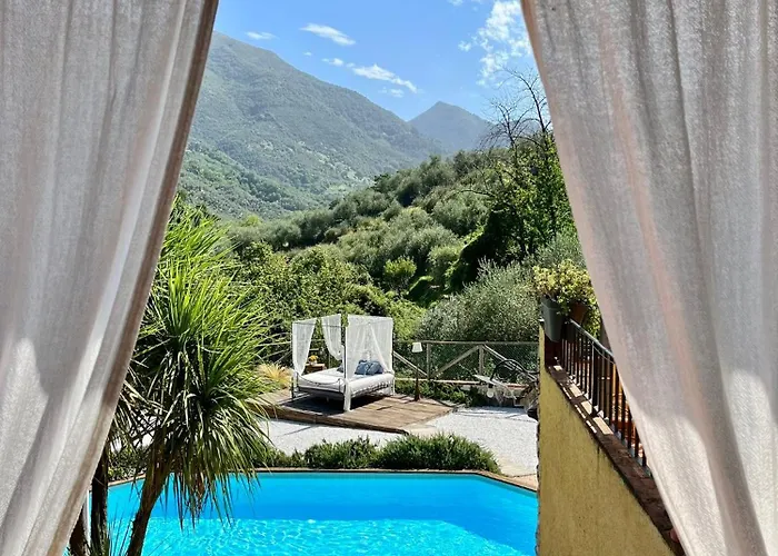 Daniela Камайоре